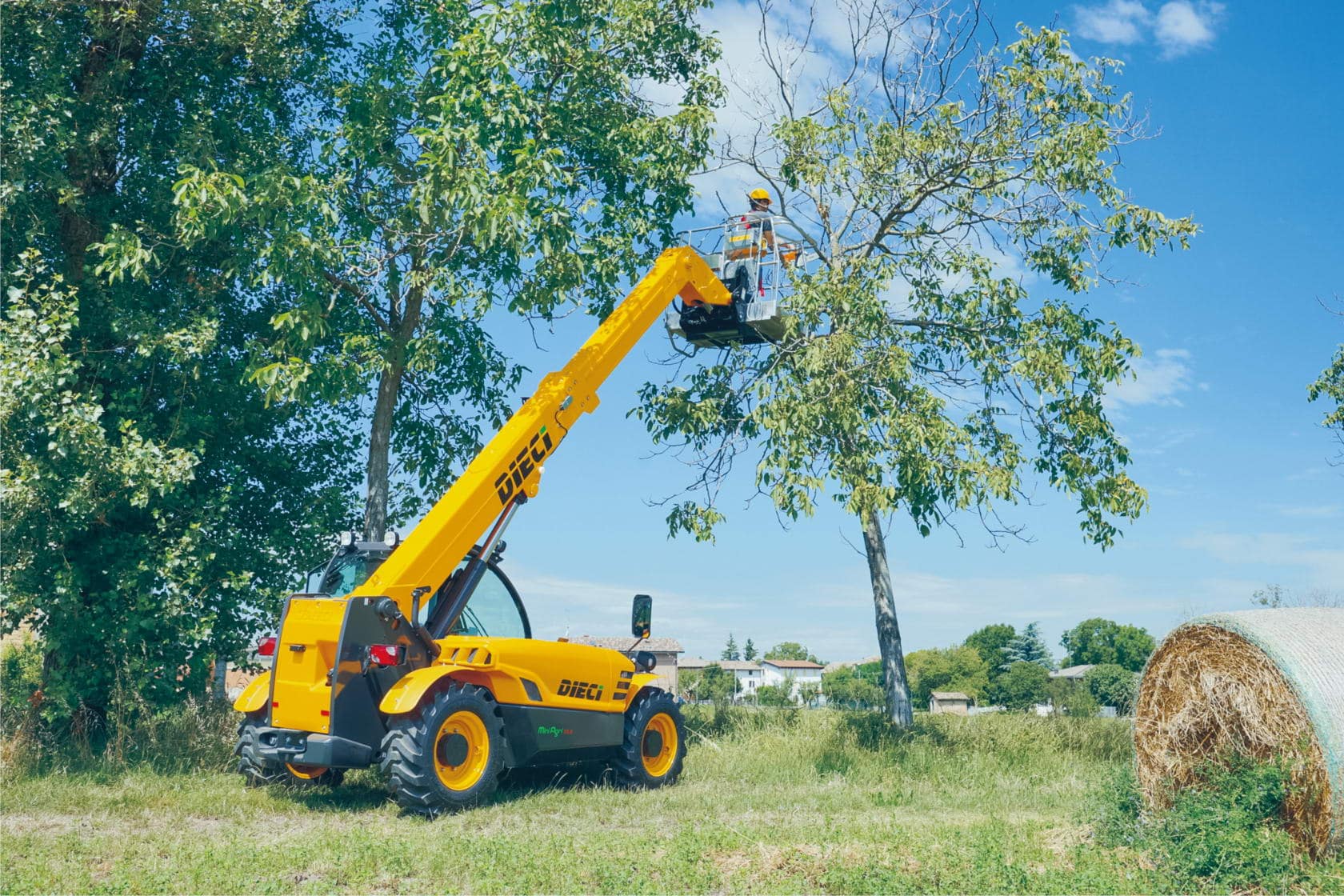 A photo of Dieci mini agri